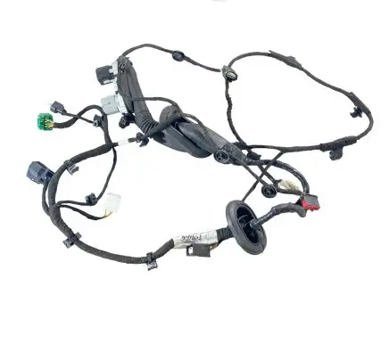 Front door wiring loom