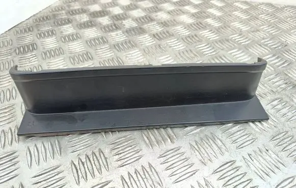 Rear/tail light trim molding