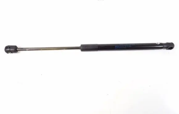 Tailgate strut