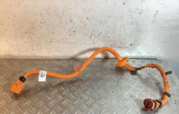 KIA EV6 Other wiring loom 91662CV010A