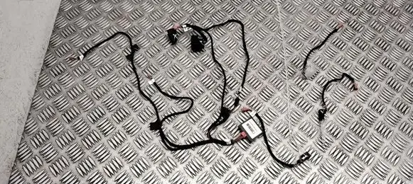 Audi A6 C7 Front door interior light 