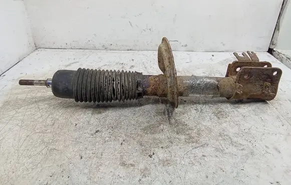 Peugeot Expert Front shock absorber/damper