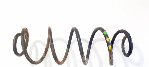 Rear coil spring