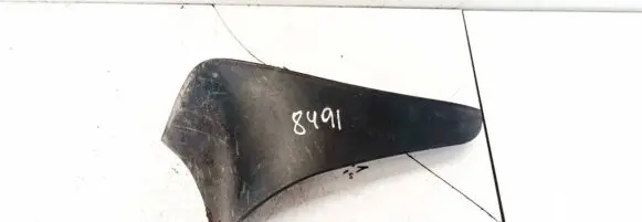 Rear mudguard