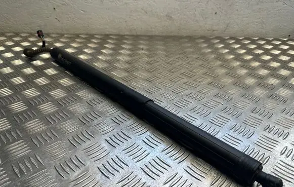 Tailgate strut