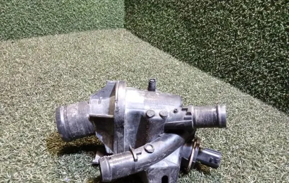 Thermostat/thermostat housing