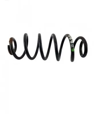 Rear coil spring