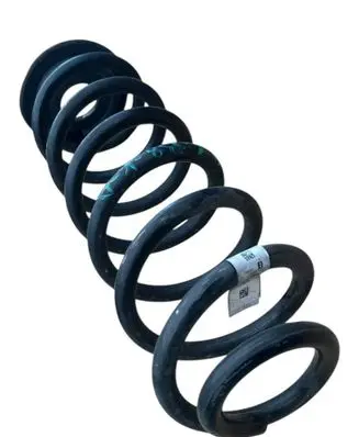 Rear coil spring
