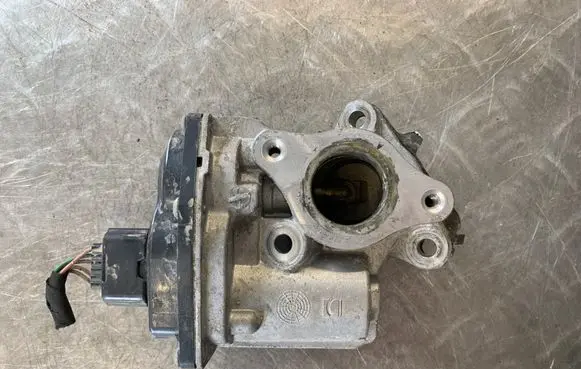 Renault Kangoo II EGR valve 8201143495