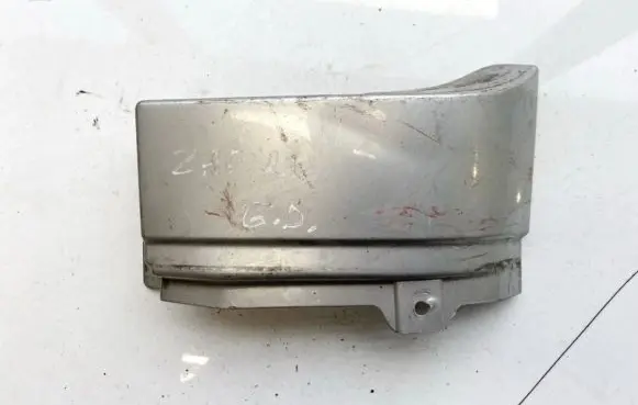 Rear/tail light trim molding