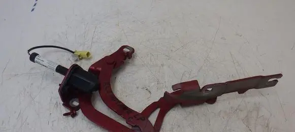 Peugeot RCZ Engine bonnet/hood hinges YM17350180
