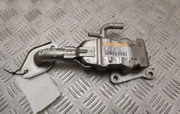 Toyota RAV 4 (XA50) EGR valve cooler 2568025030B