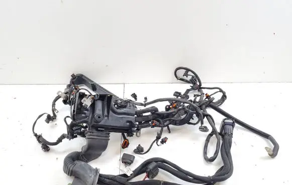 Engine installation wiring loom
