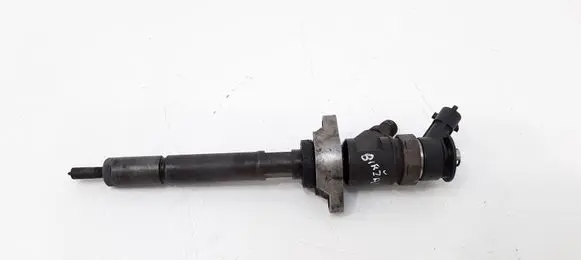 Citroen C5 Fuel injector 920029