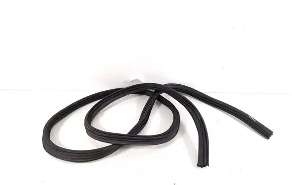 Ford Mach-E I Trunk rubber seal (body) LJ8BR404A07AA