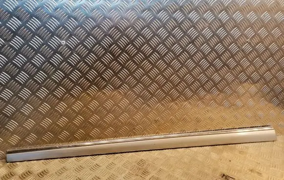 Mercedes-Benz S W220 Front door trim (molding) 2206900562