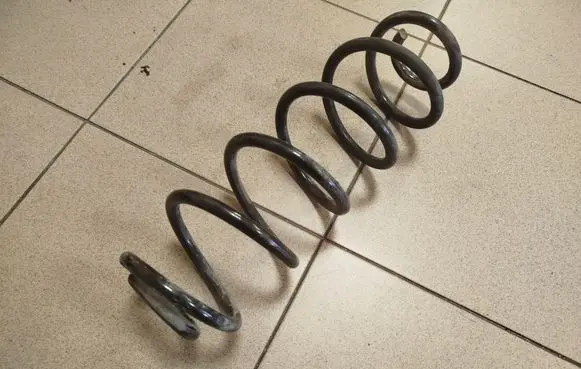 Rear coil spring