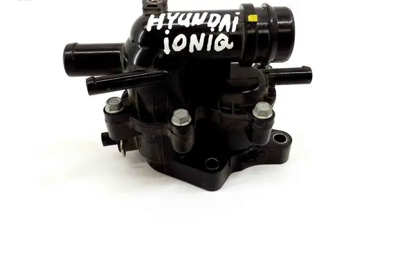 Hyundai Ioniq Thermostat RGA244