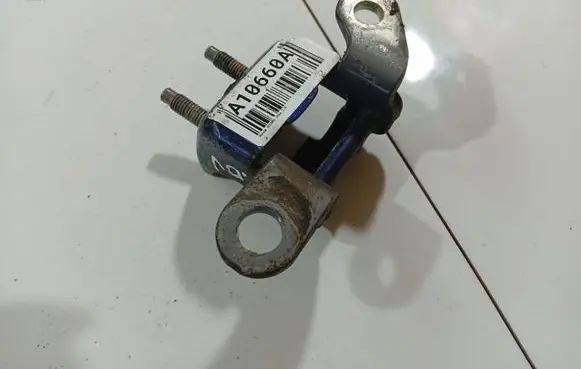 Rear door lower hinge