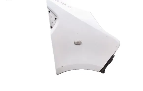 Renault Trafic III (X82) Fender