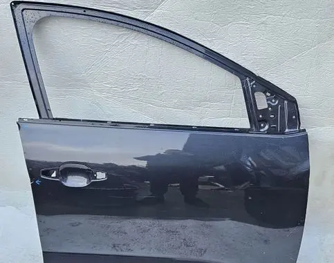 Dacia Sandero Front door