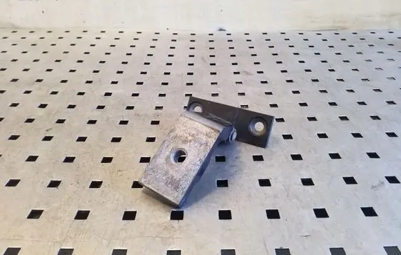 Rear door lower hinge