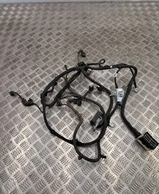 Ford Mustang Mach-E Other wiring loom PJ8T14B599EAB