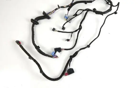 Tesla Model S Front door wiring loom 248639800C