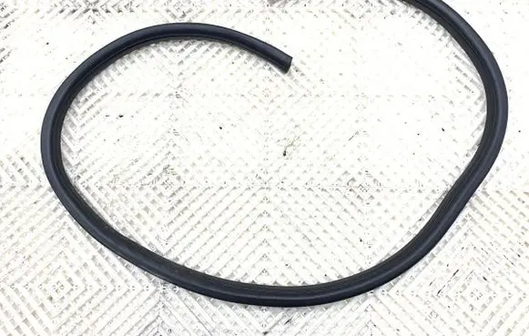 Citroen C3 Pluriel Rubber seal front door (on door) 