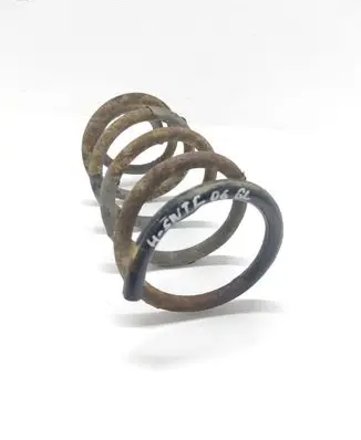 Hyundai Santa Fe Rear coil spring