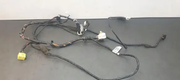 KIA Carnival Other wiring loom 918104D092