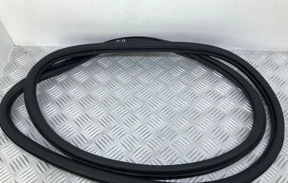Skoda Rapid (NH) Front door rubber seal 5JA867365D