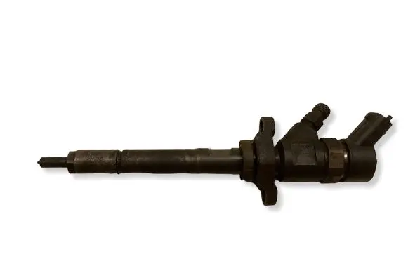 Citroen C4 I Picasso Fuel injector 0445110259 19178