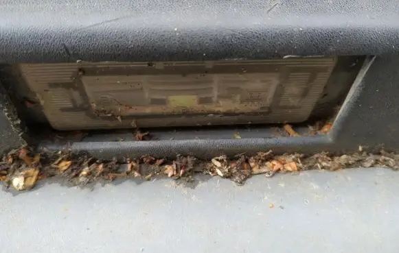 Renault 19 Number plate light