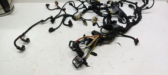 BMW X1 F48 F49 Engine installation wiring loom 53781210