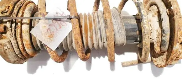 Front coil spring
