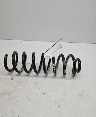 Rear coil spring