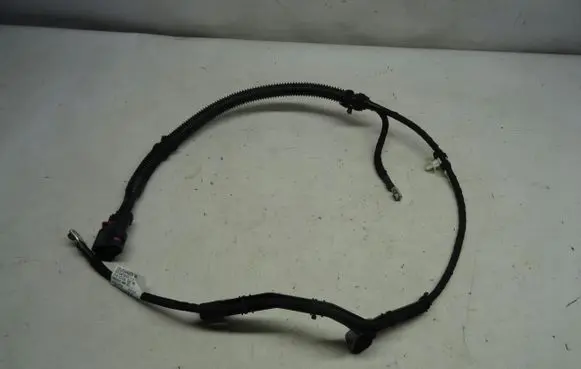 Other wiring loom