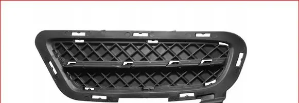 BMW Z4 E89 Front bumper lower grill 51117203800