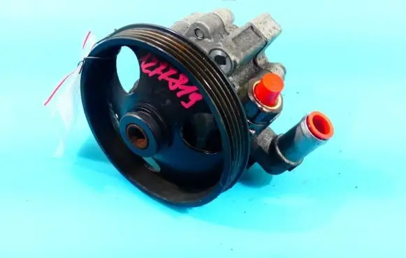 Electric power steering pump