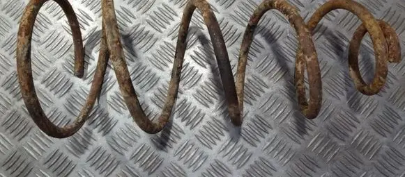 Fiat Punto (176) Front coil spring