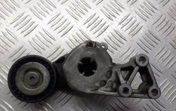 Seat Leon (1M) Alternator belt tensioner pulley 06A903315E