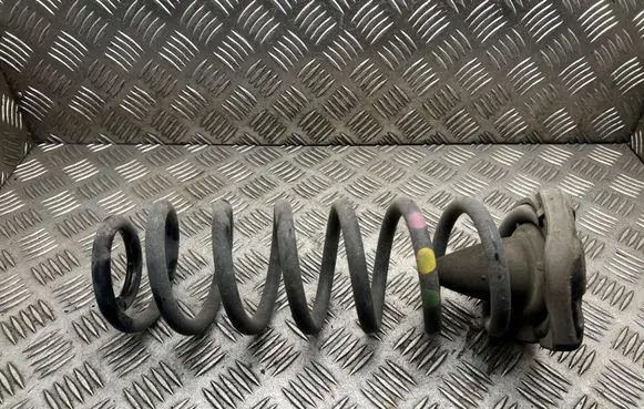 Renault Scenic IV - Grand scenic IV Rear coil spring