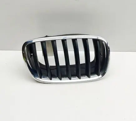 BMW X6 E71 Front grill 7171396
