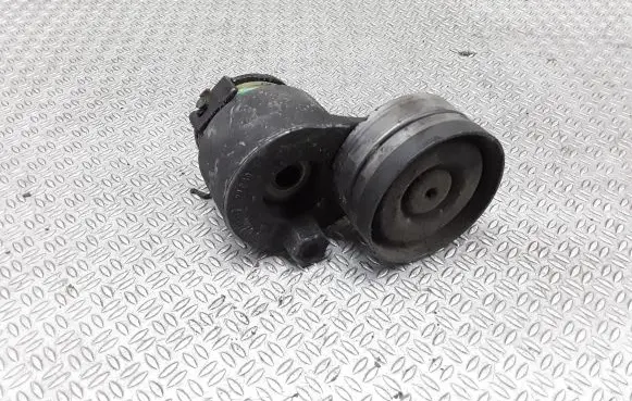 Renault Trafic II (X83) Generator/alternator belt tensioner 0714026270001