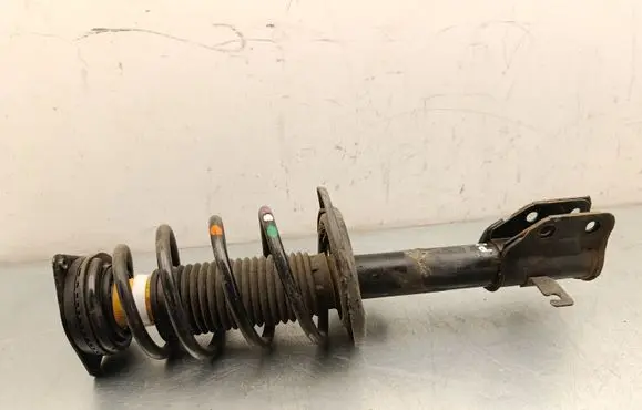 Citroen C4 III e-C4 Front shock absorber with coil spring 9842995080