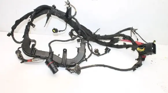 Chrysler 300C Other wiring loom P68089675AB 68089675AB