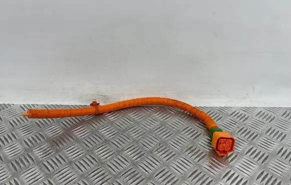 Hyundai Ioniq 5 Other wiring loom