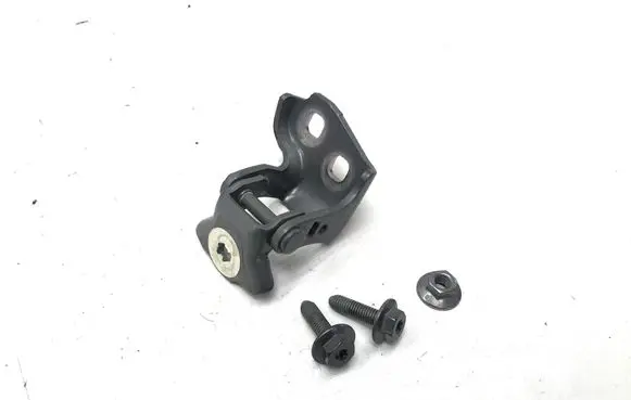 Renault Scenic E-Tech V Front door lower hinge 804009307