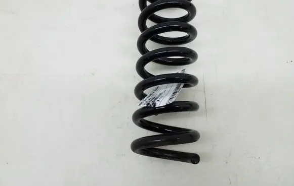 Rear coil spring